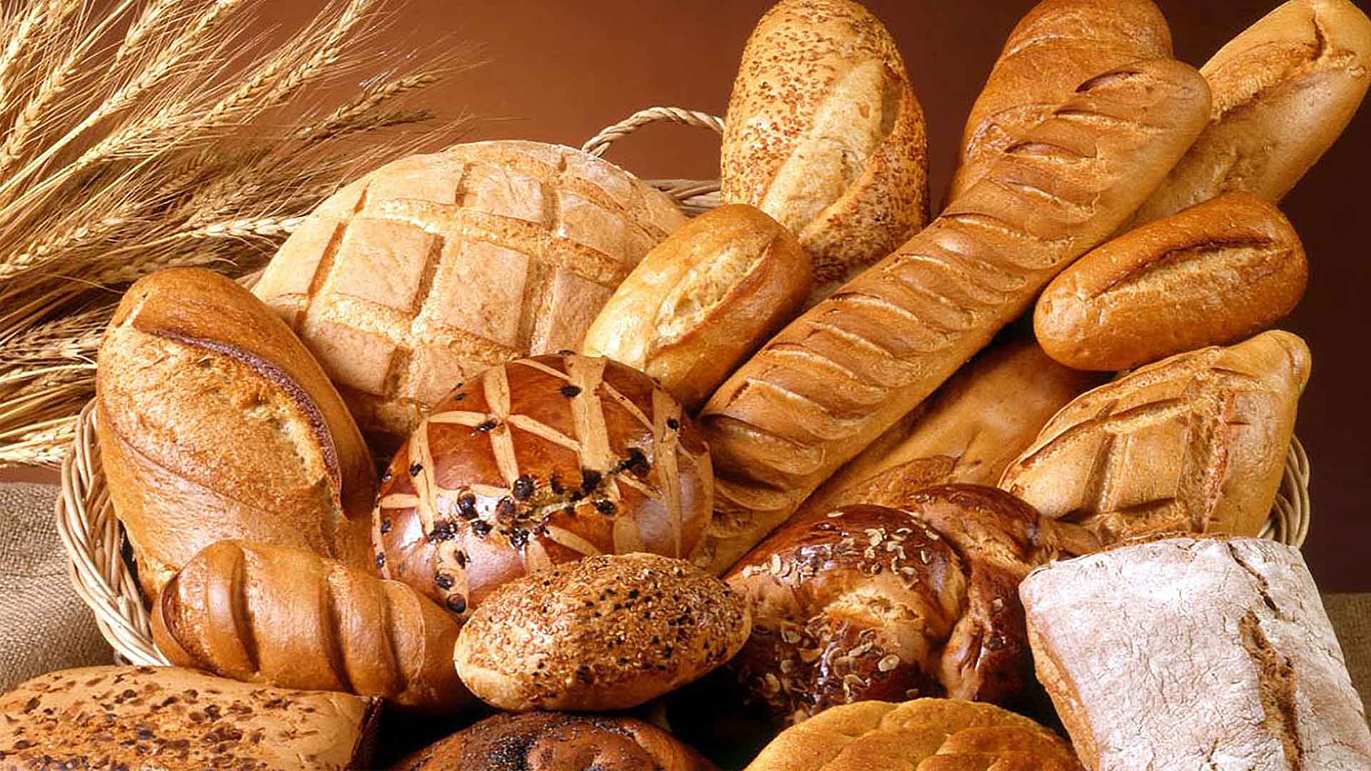 Freshly Baked Bread
